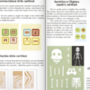 Escolinha MONTESSORI Meu Primeiro BOX de Atividades: Corpo Humano - Image 4