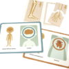 Escolinha MONTESSORI Meu Primeiro BOX de Atividades: Corpo Humano - Image 5